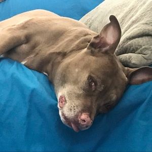 Meet your Posher, Rhonda